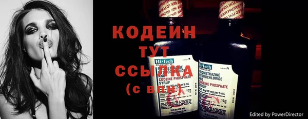 прущие грибы Волоколамск