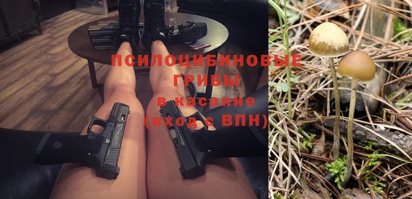 прущие грибы Волоколамск