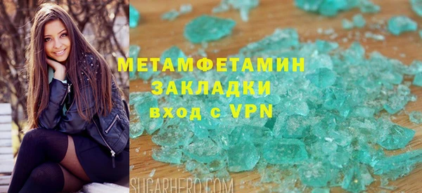 прущие грибы Волоколамск