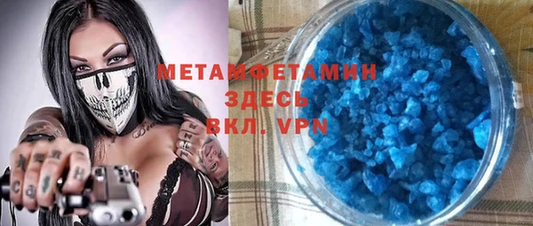 прущие грибы Волоколамск