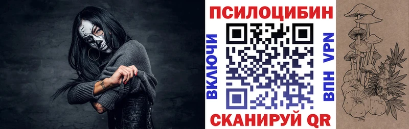 цены наркотик  Подпорожье  hydra ссылки  Галлюциногенные грибы мицелий 