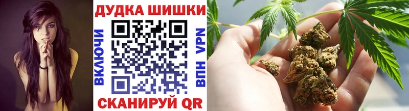 Марихуана сатива  KRAKEN   Подпорожье 